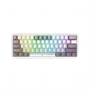 E-YOOSO Z-11RGB (61key）white grey Two-color mold mixed color keycap